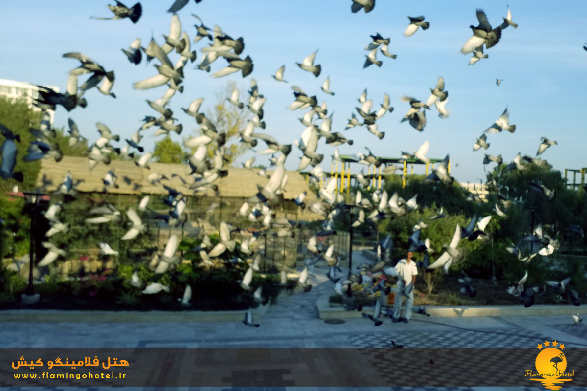 پرندگان و حیوانات در محوطه هتل